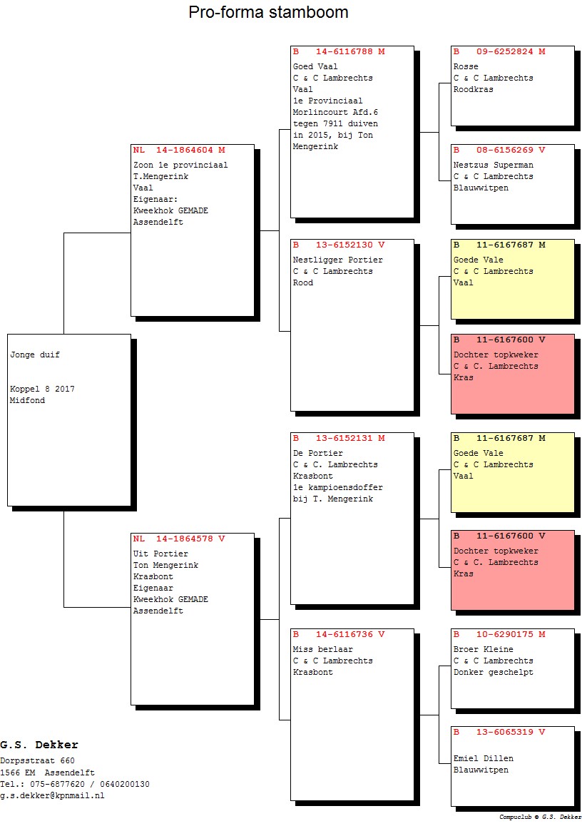 Koppel 8